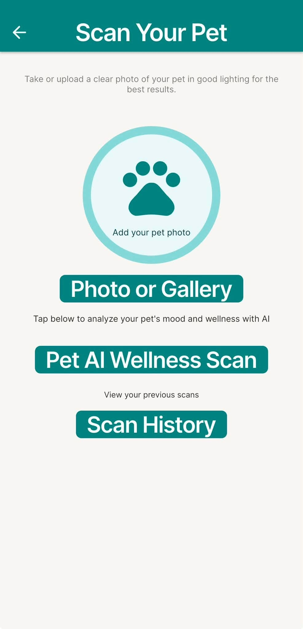 Scan screen