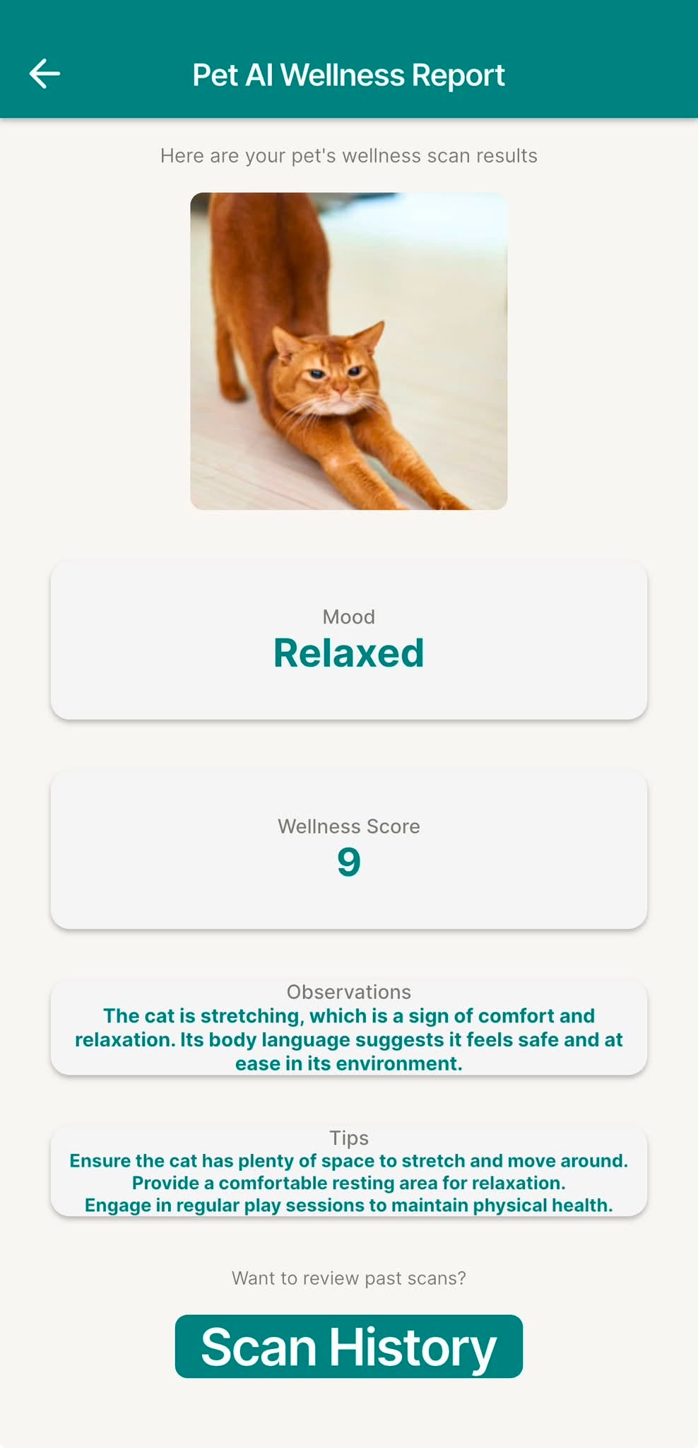 Scan result: Relaxed cat, wellness score 9