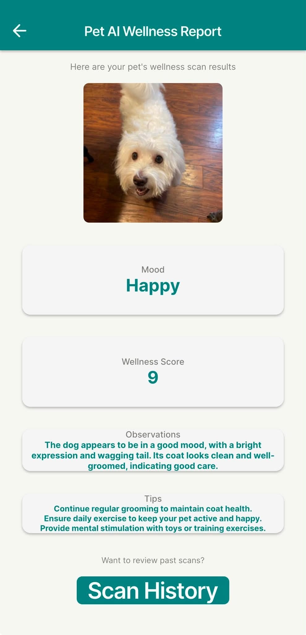 Results — Happy, score 9